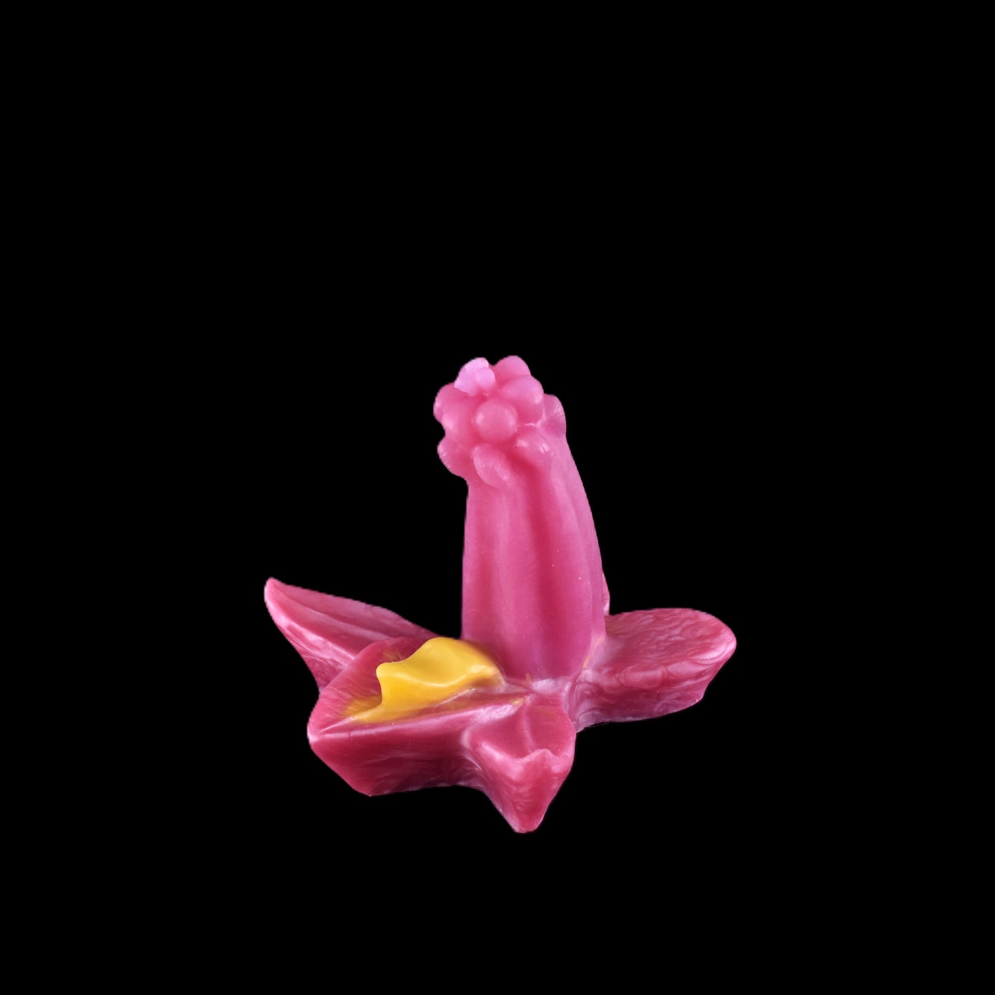 Lilypop golden tongue