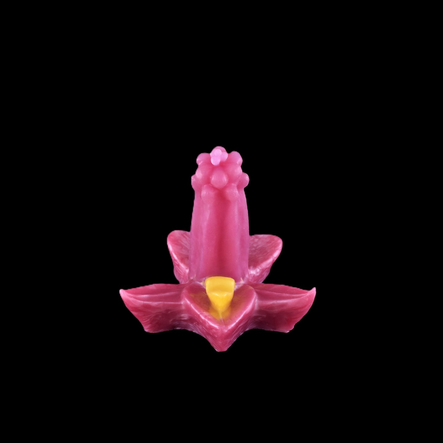 Lilypop golden tongue